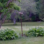 img_0004